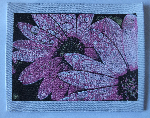 Fotoweb
